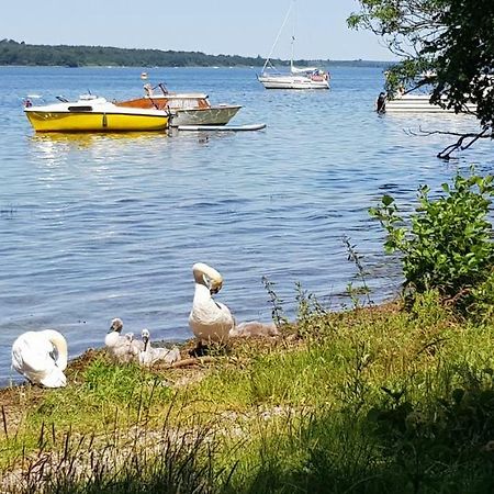 Ferienwohnung Am Schweriner See Raben Steinfeld Εξωτερικό φωτογραφία