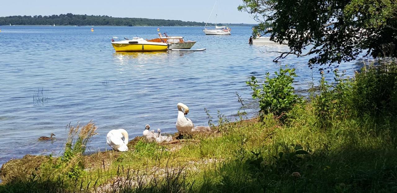 Ferienwohnung Am Schweriner See Raben Steinfeld Εξωτερικό φωτογραφία